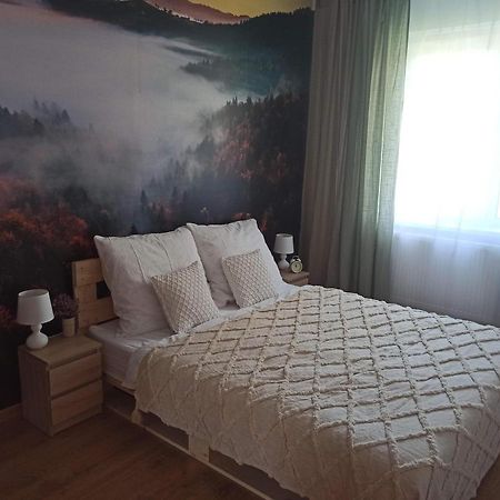 Glacian Apartment Kłodzko Buitenkant foto